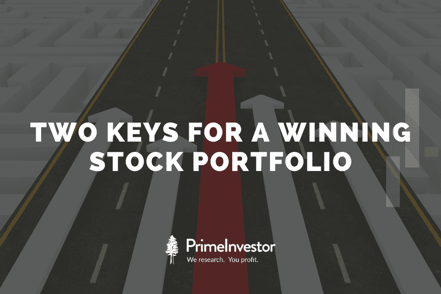 winning stock portfolio
