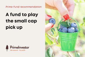 Prime fund recommendation - A fund to play the small cap pick up