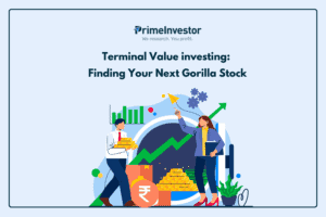 Terminal Value investing Finding Your Next Gorilla Stock